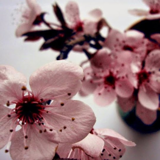 Amanda Smart Photo 32