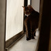 Penny Allred Photo 8