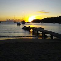 Susan Hoag Photo 22