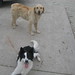 Daisy Carlson Photo 13