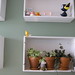 Vicki Turner Photo 10