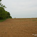 Robert Maxcy Photo 8