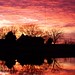 Jan Bonner Photo 15