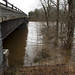 Kelly Ford Photo 10