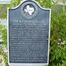 Ann Agar Photo 11