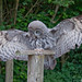 Edward Gray Photo 11