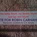 Robin Blunt Photo 20