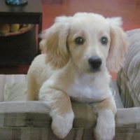 Reinaldo Acevedo Photo 9