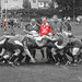 Paul Kirwan Photo 7