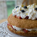 Teresa Lemon Photo 12