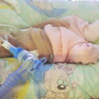 Yesica Lemus Photo 4