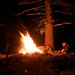 Gary Beebe Photo 37