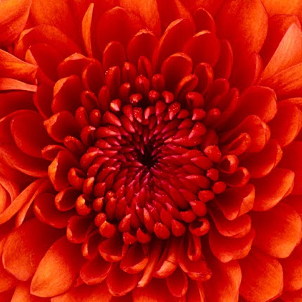 Jerri Rose Photo 22