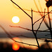 Jennifer Knowles Photo 24