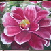 Debra Dye Photo 10