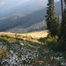 Duane Meadows Photo 14