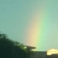 Susan Behrens Photo 21