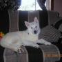 Sandra Holt Photo 32