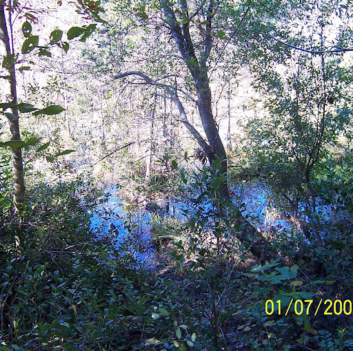Roy Allison Photo 22