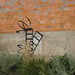 Bonnie Rains Photo 13