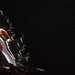 Elizabeth Larson Photo 10