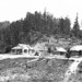 William Tiller Photo 24
