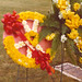 Ernest Nichols Photo 14