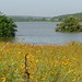 Ruby Crowder Photo 10