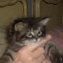 Jeanne Walters Photo 19