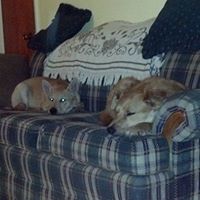 Linda Daugherty Photo 26