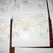 Amy Morrell Photo 27