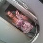 Kelly Milner Photo 16