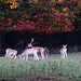 Steven Watson Photo 16