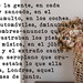 Virginia Flores Photo 18