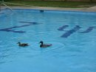 Stephen Becker Photo 26