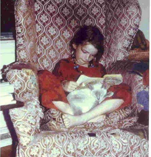 Robin Stevenson Photo 27