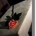 Linda Long Photo 38