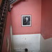 Alan Gibbs Photo 23