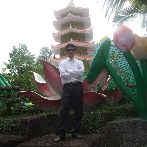 Quynh Ho Photo 8