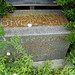 Charles Goodwin Photo 48