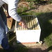 Susan Albritton Photo 28