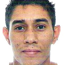 Milton Gomez Photo 5