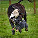 Jeffrey Bolt Photo 6