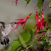 James Hover Photo 9