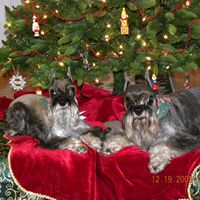 Connie Crain Photo 8