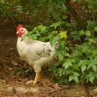 Julie Albright Photo 5