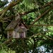 Janet Elmore Photo 12