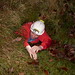 John Beecham Photo 12