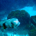 Ernesto Ramirez Photo 36