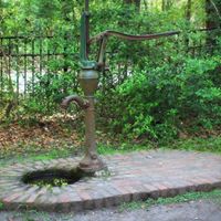 Margaret Coley Photo 9